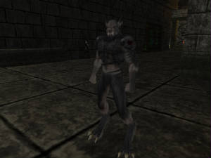 screenshot_2005-11-14-00-56-58.jpg